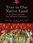 Image for True to Our Native Land, Second Edition : An African American New Testament Commentary