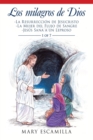 Image for Los Milagros De Dios : -La Resurreccion De Jesucristo - La Mujer Del Flujo De Sangre - Jesus Sana a Un Leproso