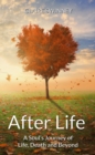 Image for AFTER LIFE: A Soul&#39;s Journey of Life, Death and Beyond