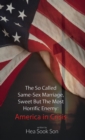Image for So Called Same-Sex Marriage, Sweet but the Most Horrific Enemy: America in Crisis