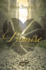 Image for Promise: The Fighting Girl