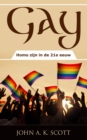 Image for Gay: Homo zijn in de 21e eeuw