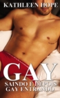 Image for Gay: Saindo e depois gay entrando