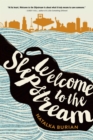 Image for Welcome to the slipstream