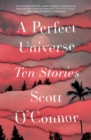 Image for A Perfect Universe : Ten Stories