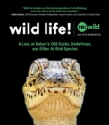 Image for Wild life!: a look at nature&#39;s odd ducks, underfrogs, and other at-risk species