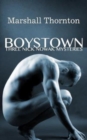 Image for Boystown : Three Nick Nowak Mysteries