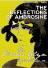 Image for Reflections of Ambrosine: A Novel