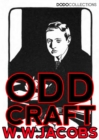 Image for Odd Craft