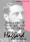 Image for Swallow: A Tale of the Great Trek