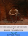 Image for Industrial Education for the Negro