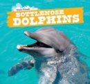 Image for Bottlenose Dolphins