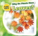 Image for Why Do Plants Have Leaves?