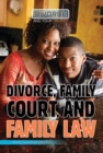 Image for Divorce, Family Court, and Family Law
