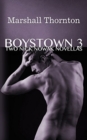 Image for Boystown 3 : Two Nick Nowak Novellas