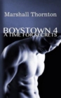 Image for Boystown 4 : A Time For Secrets