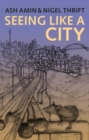 Image for Seeing like a city
