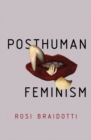 Image for Posthuman feminism