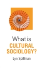 Image for What is Cultural Sociology?