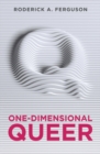 Image for One-Dimensional Queer