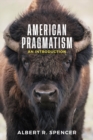 Image for American Pragmatism : An Introduction