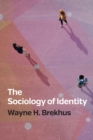 Image for The sociology of identity  : authenticity, multidimensionality, and mobility