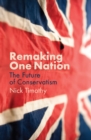 Image for Remaking one nation  : the future of conservatism