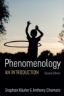 Image for Phenomenology