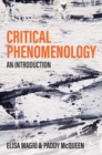 Image for Critical phenomenology: an introduction
