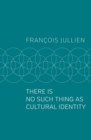 Image for There Is No Such Thing as Cultural Identity