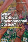 Image for What is Critical Environmental Justice?