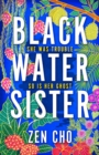 Image for Black Water Sister