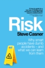 Image for Risk  : why smart people have dumb accidents - and what we can learn from them