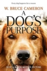 Image for A dog&#39;s purpose  : a novel for humans