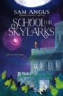 Image for School for skylarks