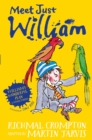 Image for William&#39;s wonderful plan and other stories  : meet Just William