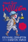 Image for William&#39;s haunted house and other stories