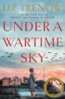 Image for Under a Wartime Sky