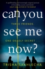 Image for Can You See Me Now?