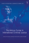 Image for The amicus curiae in international criminal justice