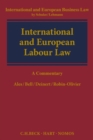 Image for International and European labour law  : a commentary