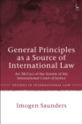 Image for General Principles as a Source of International Law