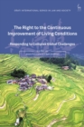 Image for The right to the continuous improvement of living conditions  : responding to complex global challenges