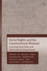 Image for Social Rights and the Constitutional Moment