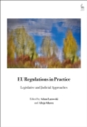 Image for EU Regulations in Practice : Legislative and Judicial Approaches