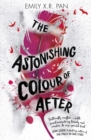 Image for The astonishing colour of after