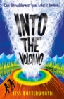 Image for Into the volcano