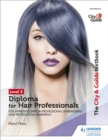 Image for Level 2 diploma for hair professionals for apprenticeships in professional hairdressing and professional barbering