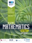 Image for MEI A Level Mathematics. Year 2
