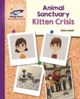 Kitten crisis - Lawes, Jane